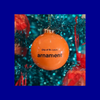 St. Louis City Arnament