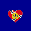 We Are St. Louis Supporter Pin